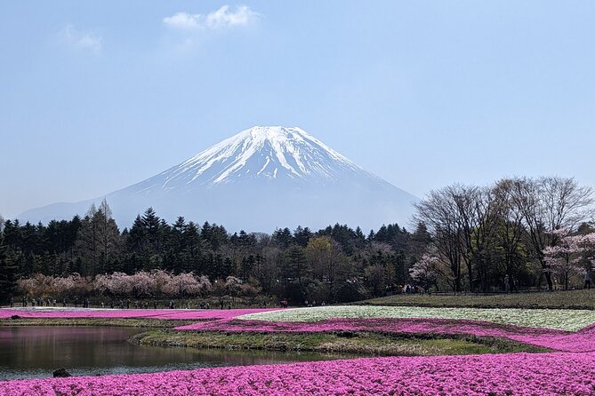 Private Car Mt Fuji and Gotemba Outlet in One Day from Tokyo - Oshino, shrines, and the stops that give Fuji its personality