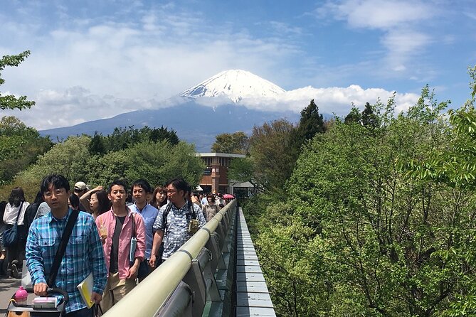 Private Car Mt Fuji and Gotemba Outlet in One Day from Tokyo - Aokigahara cave adventures, Saiko Lake, and the 5th Station toll decision