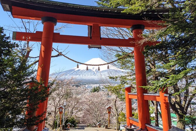 Private Car Mt Fuji and Gotemba Outlet in One Day from Tokyo - Lunch planning and keeping your food flexible