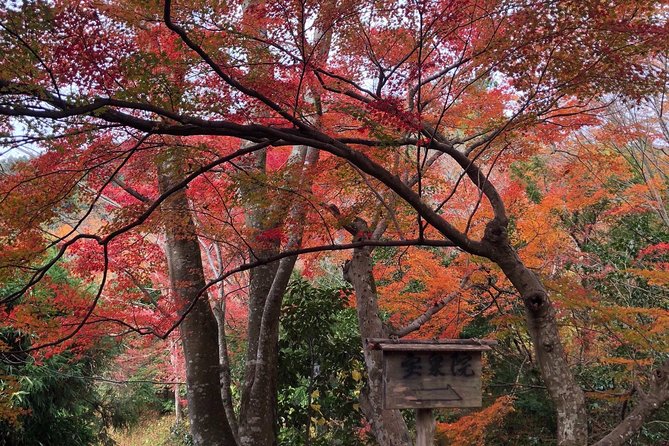 Private car tour in Kyoto (up to 4) - Stop 5: Gion, the geisha district walk at your pace