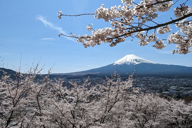 Private Car Tour to Mt. Fuji Lake Kawaguchiko or Hakone - Key highlights you should care about