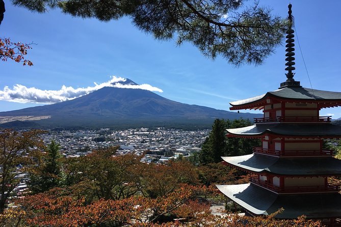 Private Car Tour to Mt. Fuji Lake Kawaguchiko or Hakone - Kawaguchiko shrine, Oishi parks, and the Fuji foods you will actually remember