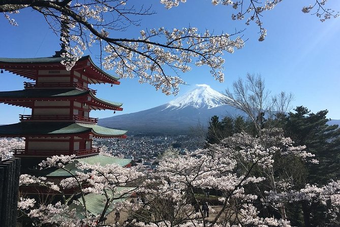 Private Car Tour to Mt. Fuji Lake Kawaguchiko or Hakone - Aokigahara caves and Mt Fuji ropeway, when you want more than photos