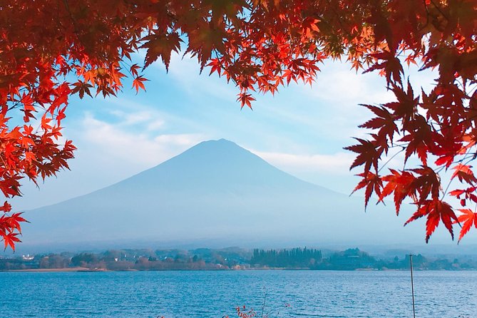 Private Car Tour to Mt. Fuji Lake Kawaguchiko or Hakone - The 5th station reality, toll fee, and seasonal closures
