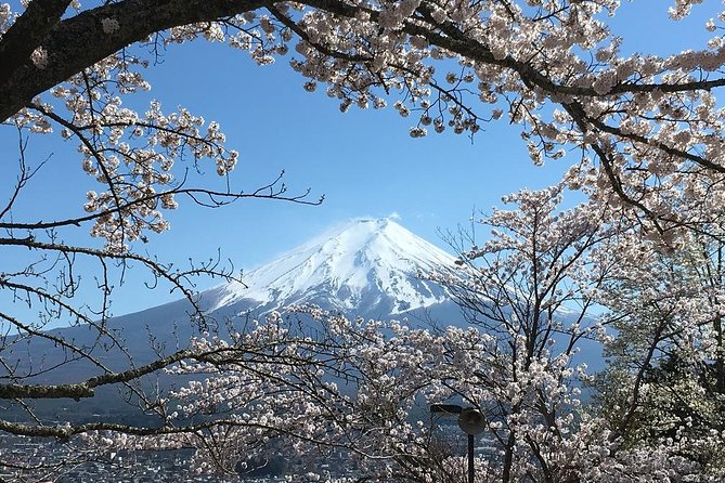 Private Car Tour to Mt. Fuji Lake Kawaguchiko or Hakone - Hakone highlights: ropeway, Owaku-dani volcano, shrine torii, and Lake Ashi cruise