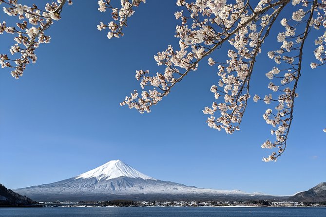 Private Car Tour to Mt. Fuji Lake Kawaguchiko or Hakone - Kawaguchiko vs Hakone, what you choose changes the whole vibe
