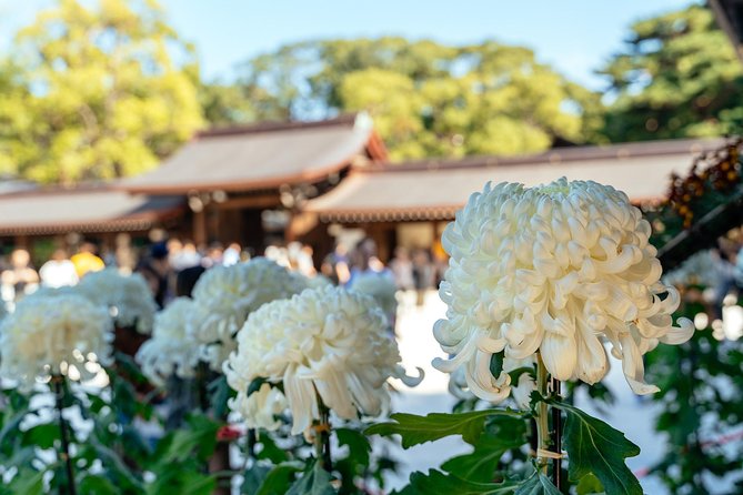 Private City Kickstart Tour: Tokyo - After the Walk: Turn Your Guide’s Tips Into a Real Itinerary