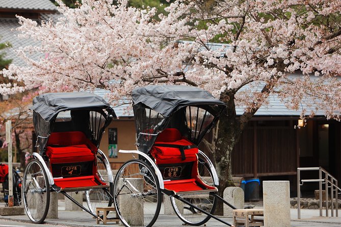 Private Custom Tour: Kyoto in One Day - Key things that make this Kyoto day work