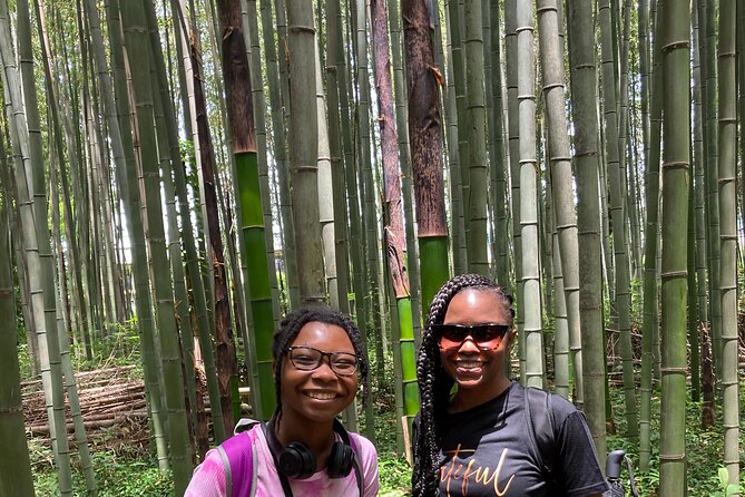 Private Custom Tour: Kyoto in One Day - Your Core Icons: Kinkaku-ji, Nijo Castle, and Fushimi Inari