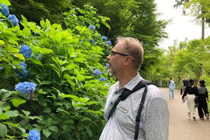 Private Custom Tour: Kyoto in One Day - Tenryu-ji and Kiyomizu-dera: Gardens and Clifftop Views
