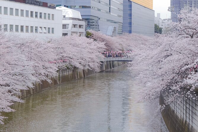 Private Custom Tour: Tokyo in a Day - Tsukiji-style market time, then Hama Rikyu Gardens for a reset