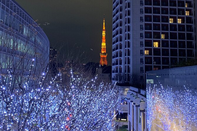 Private Custom Tour: Tokyo in a Day - Yanaka Ginza for calmer souvenirs and old-street charm