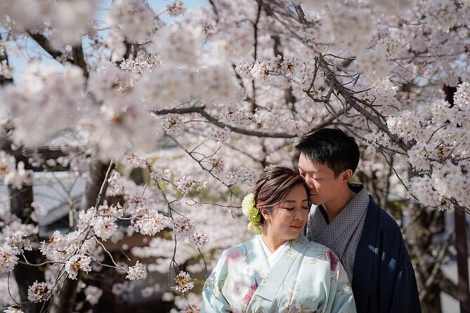 Private Customized Tour with Local Guide In Kyoto - Start in Maruyama Park, Kyoto’s garden intro