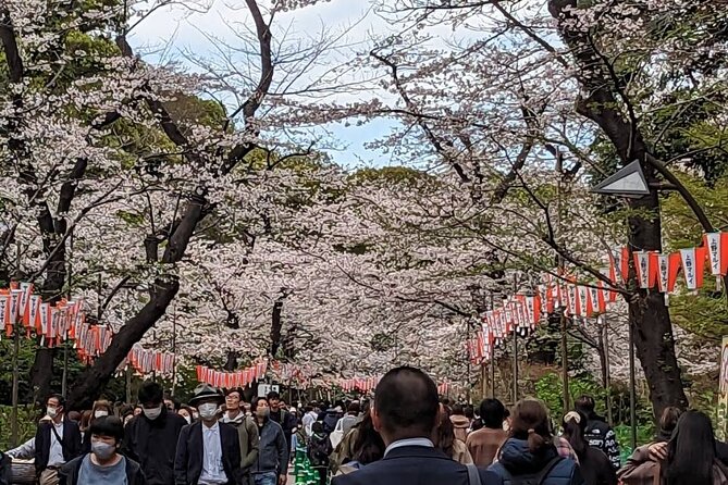 Private Day Tour In Tokyo with a Native English Speaker - Price, pickup radius, and what the $145 covers