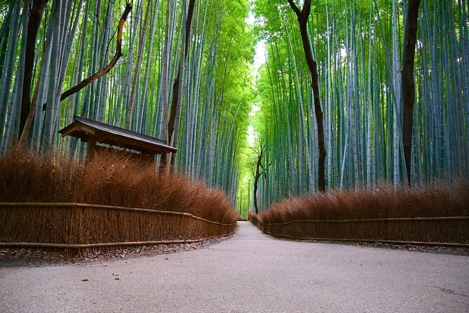 Private Day Tour - Kyoto Arashiyama & Bamboo Forest Perfect Tour! - Key moments that make this tour worth your time