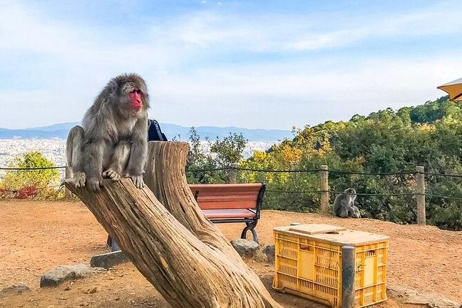 Private Day Tour - Kyoto Arashiyama & Bamboo Forest Perfect Tour! - Arashiyama at human speed, not a sprint