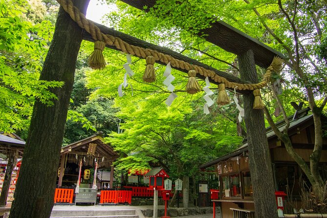 Private Day Tour - Kyoto Arashiyama & Bamboo Forest Perfect Tour! - Monkey Park Iwatayama, wild monkeys and a big Kyoto viewpoint