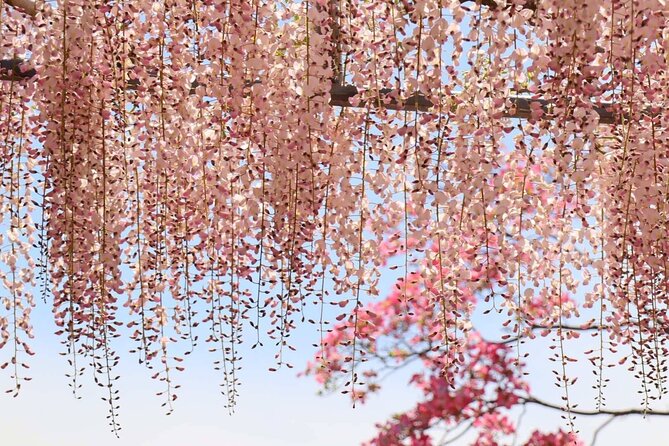 Private departure transfer from Kyoto city to Kansai International airport - Communication That Helps You Stay Calm