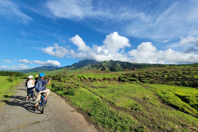 Private E-MTB guided cycling around Mt. Aso volcano & grasslands - Key highlights you should care about