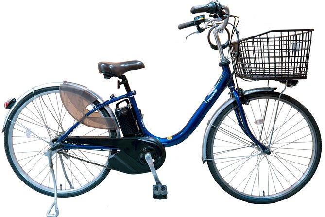 Private eBike Tour Exploring Fushimi with Torii Red Gate Ride - Group size, private tour comfort, and the guides who set the tone