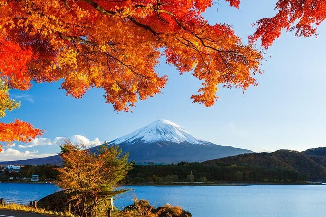 Private Fuji Full-day Car Tour with Hotel Pickup -Local Guide - Oshino Hakkai: the eight ponds idea that actually makes sense