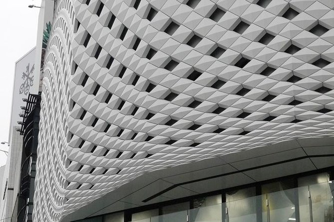 Private Ginza Architecture Walking Tour - Who Should Book This Ginza Architecture Walk