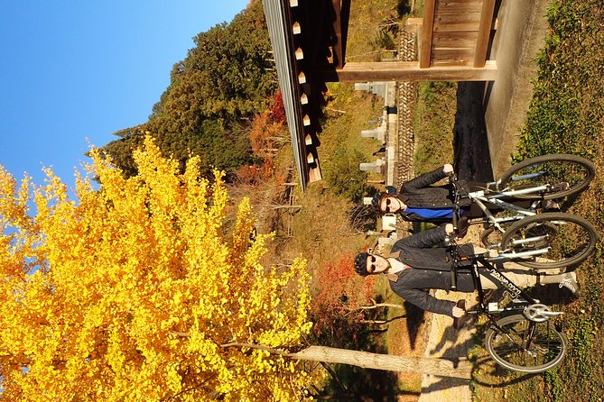 Private-group Morning Cycling Tour in Hida-Furukawa - Private-guide context: history without the textbook tone