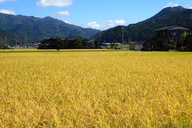 Private-group Morning Cycling Tour in Hida-Furukawa - Bikes, helmets, insurance, and snacks (what you still need)