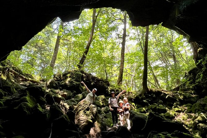Private guided hidden gems tour by local English speaking driver - Shrines, UNESCO tree-lined grounds, and the quiet side of Shinto