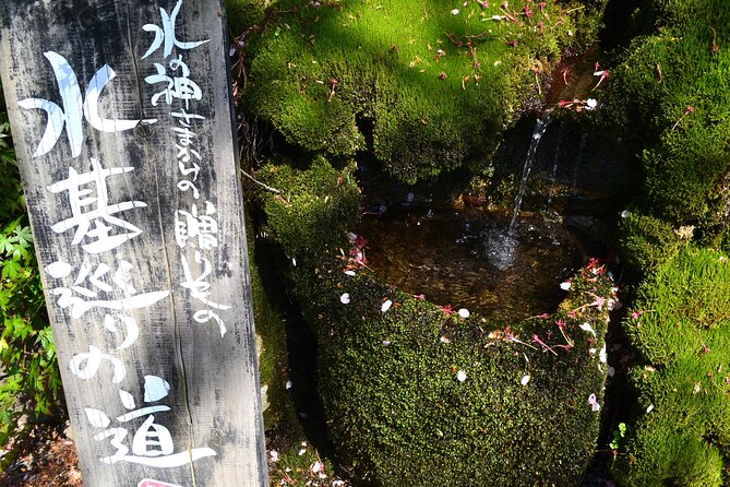Private guided tour: Mt. Aso volcano, grasslands, Aso Shrine - Mt. Aso feels alive, and that shapes the whole day