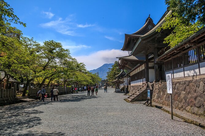 Private guided tour: Mt. Aso volcano, grasslands, Aso Shrine - Private-car logistics that make a 5.5-hour tour work