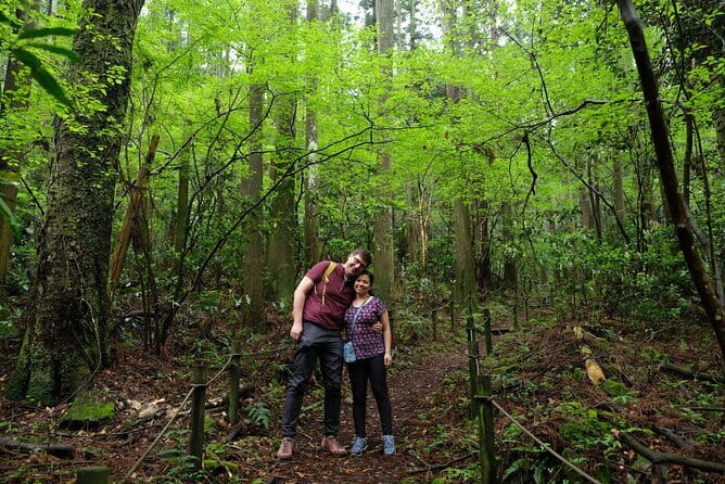 Private Hakone Half-day Car Tour with Hotel Pickup - Local Guide - Who this tour fits best