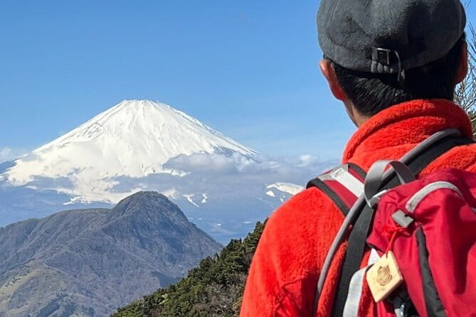 Private Hakone Half-day Car Tour with Hotel Pickup - Local Guide - A few practical tips before you go