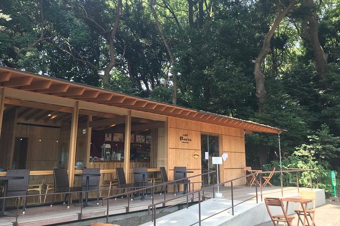Private Harajuku Omotesando Architecture Walking Tour - Price and value for a 3.5 hour private architecture experience