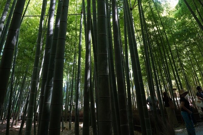 Private Kamakura Early Morning Tour (Tokyo Departure Available) - Price and value check for $54.87