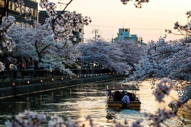 Private Kyoto Customizable Day Tour with English Speaking Driver - 8:30am start, 8 to 10 hours, and how to pace it