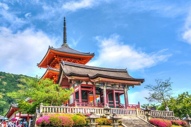 Private Kyoto Customizable Day Tour with English Speaking Driver - Nishiki Market: your shopping and food strategy stop