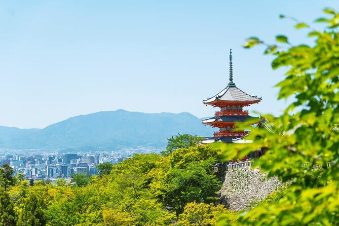 Private Kyoto Customizable Day Tour with English Speaking Driver - Fushimi Inari-taisha: torii gates and the walk you will talk about