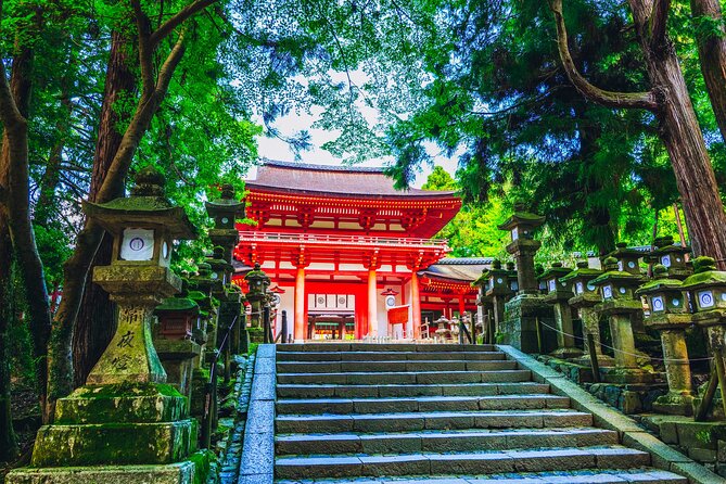 Private Kyoto Tour by Car with Optional Nara or Osaka Add-Ons - Nara add-on: deer park, Todai-ji, and Kasuga Taisha at human speed