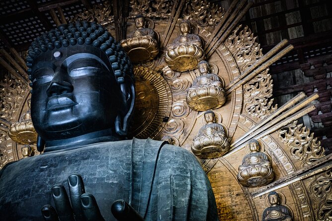 Private Kyoto Tour by Car with Optional Nara or Osaka Add-Ons - Optional Osaka energy: when to swap in the city