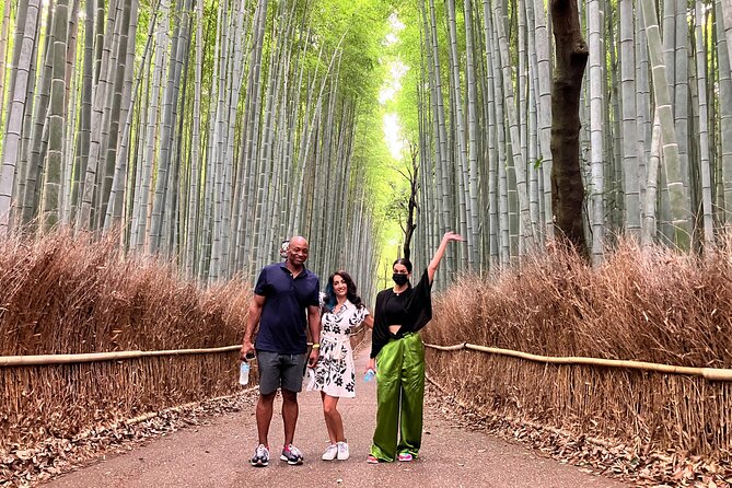 Private Kyoto Tour with Licensed Guide & Vehicle (Max 15 persons) - From Ginkakuji to Nanzenji Suirokaku, the East-hills temple chain