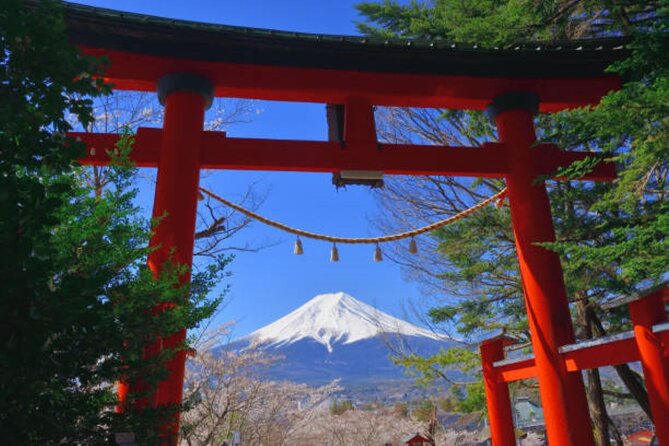 Private Mount Fuji Tour in Luxury Vehicle with English Guide - The Luxury Van Experience: Comfort, WiFi, and a Guide Who Handles the Flow