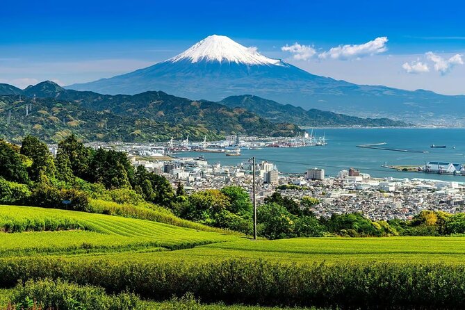 Private Mount Fuji Tour in Luxury Vehicle with English Guide - Stop 1: Mt. Fuji Subaru Line 5th Station for the Closest Summit View