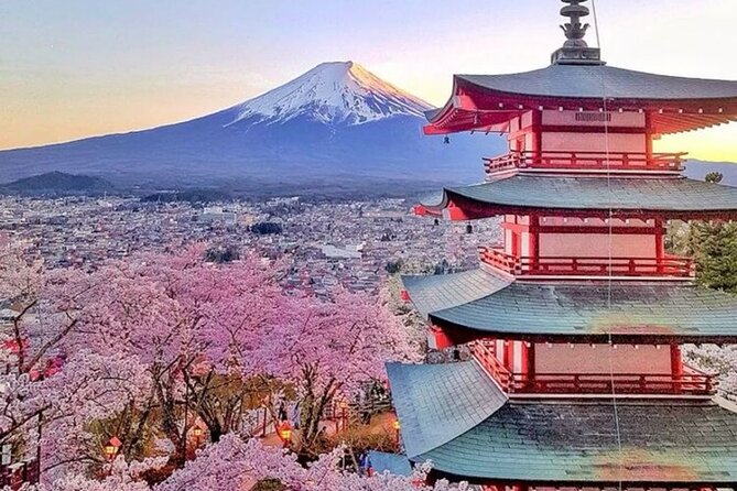 Private Mount Fuji Tour in Luxury Vehicle with English Guide - Stop 2: Lake Kawaguchiko for Fuji Reflections and Easy Scenic Time