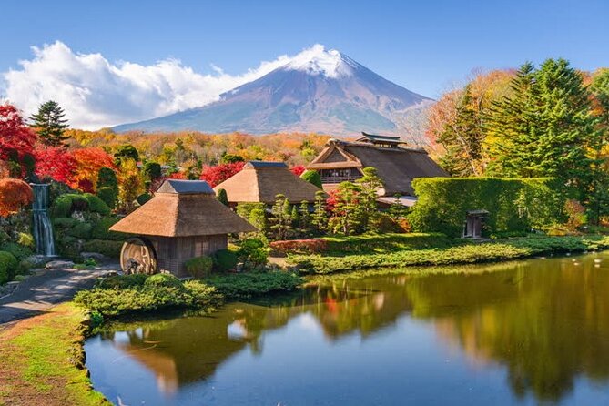 Private Mt. Fuji Custom Tour from Tokyo - Stop 1: Mount Fuji Viewpoint Time