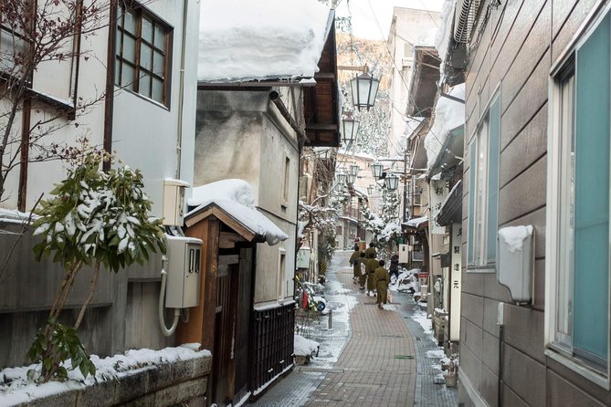 Private Nagano 1-Day Tour:Snow Monkeys,Zenko-ji,Obuse,Sake,Onsen - Jigokudani Snow Monkey Park, where the day can steal your heart