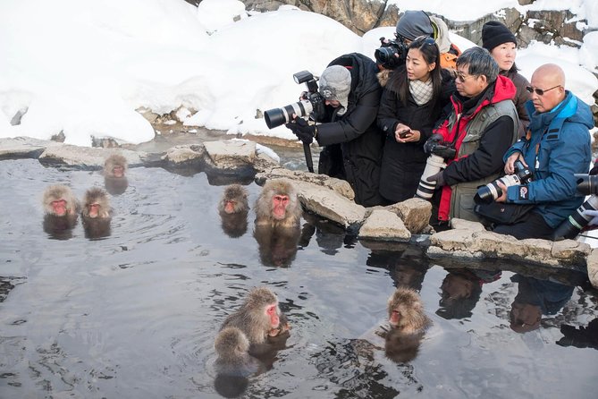 Private Nagano 1-Day Tour:Snow Monkeys,Zenko-ji,Obuse,Sake,Onsen - Shibu Onsen: your day’s final exhale