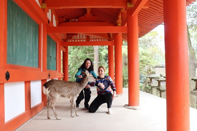 Private Nara Tour and Sake Tasting (Departing from Kyoto/Nara) - Key highlights that make this Nara tour work