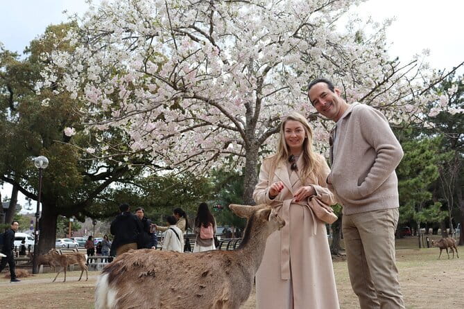 Private Nara Tour and Sake Tasting (Departing from Kyoto/Nara) - Stop 1: Kofuku-ji Temple and its five-story pagoda