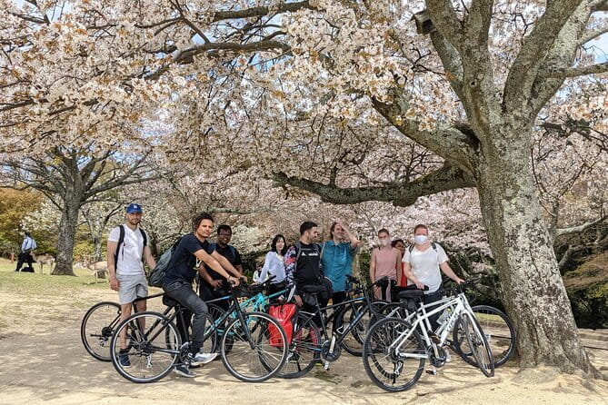 Private Nara Tour and Sake Tasting (Departing from Kyoto/Nara) - Stop 6: Kasuga Grand Shrine lanterns and Fujiwara connections